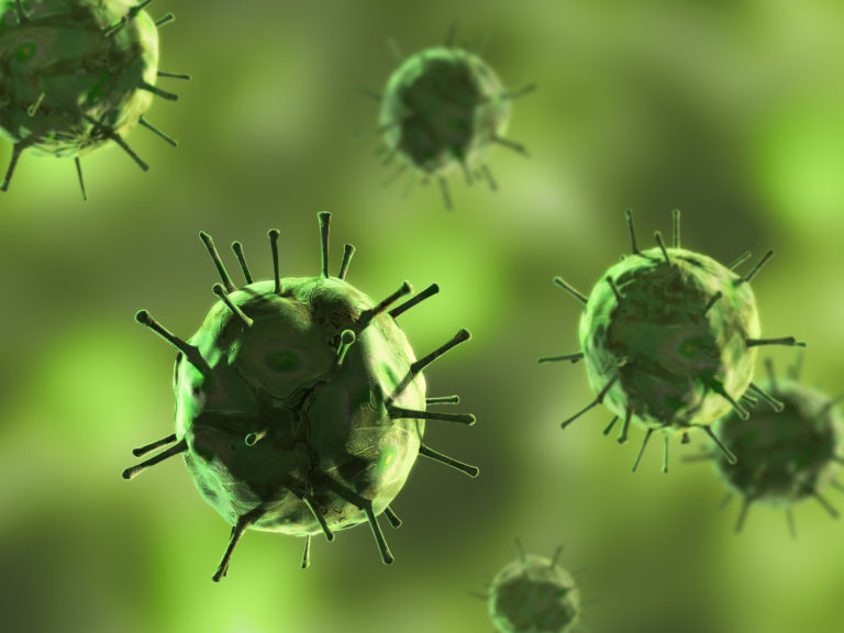 Immune Factors in Human Milk