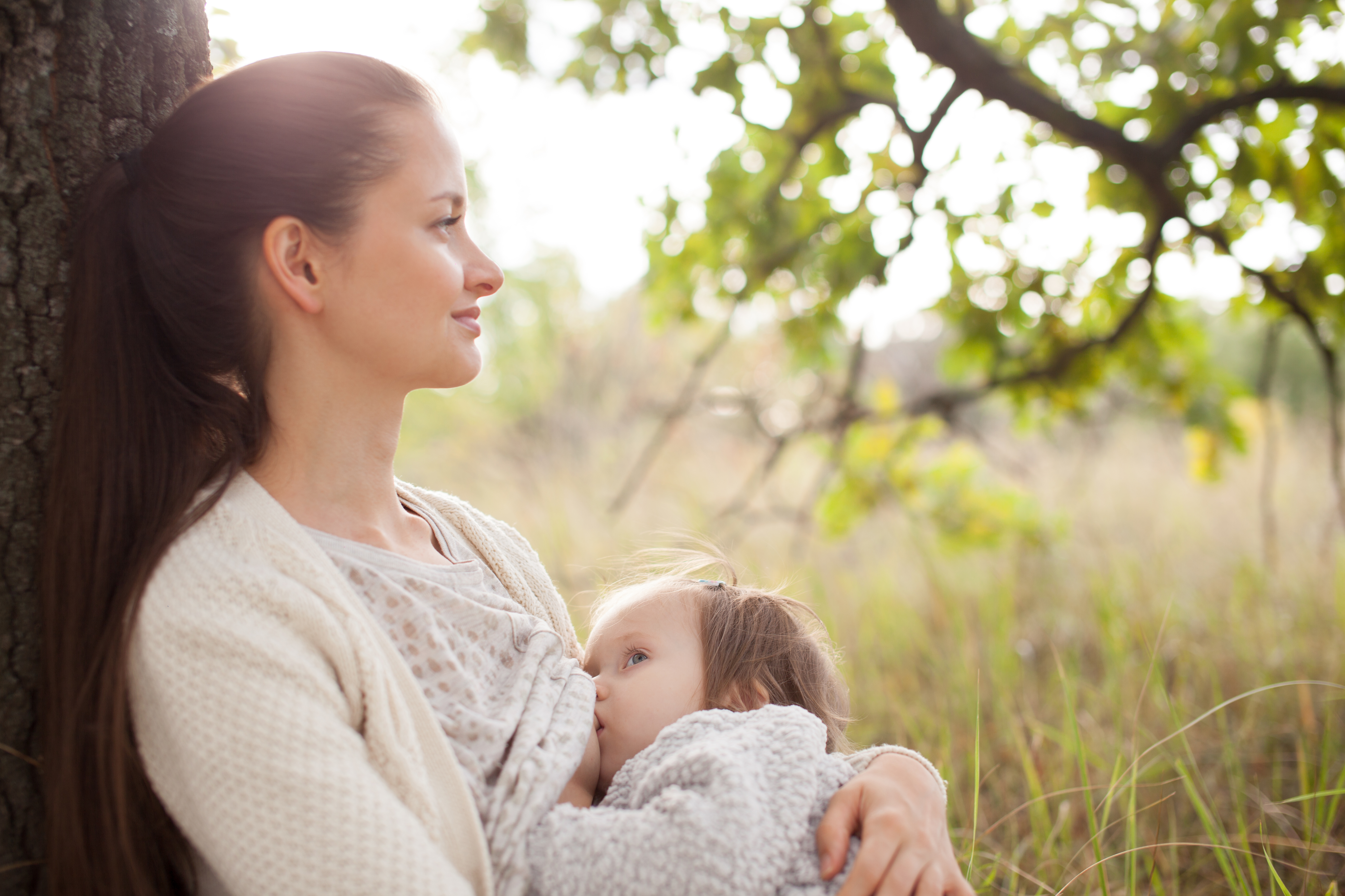 Mom breastfeeding her toddler while sitting against a tree in a sunny field