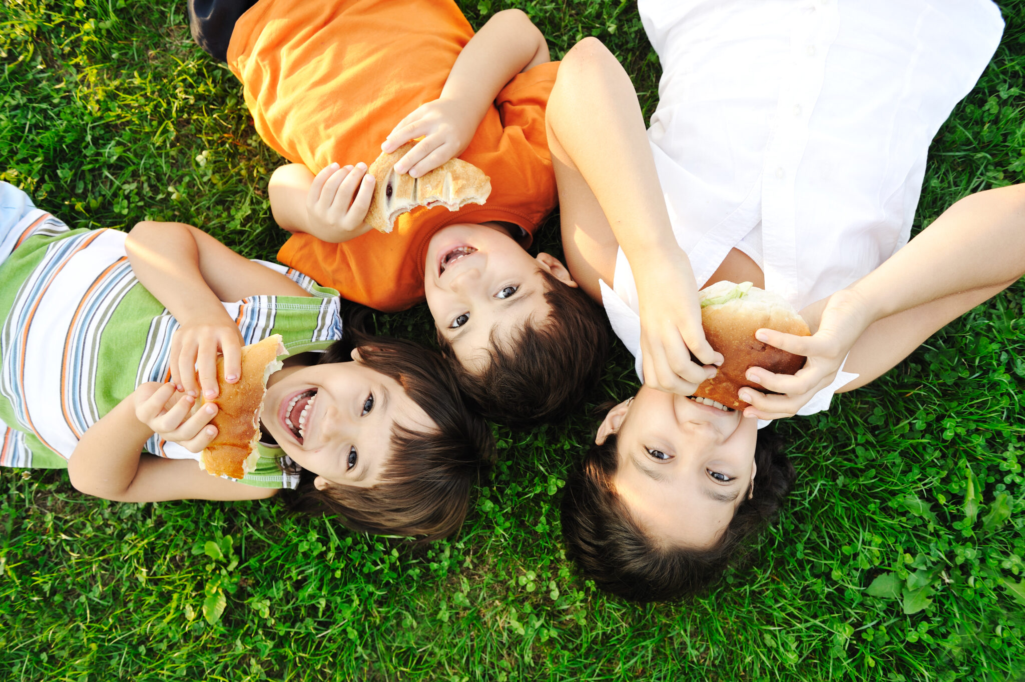 Three children lying in the grass, laughing and eating sandwiches