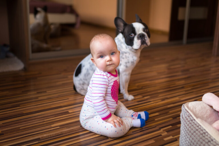 Raising a Baby with Dogs 