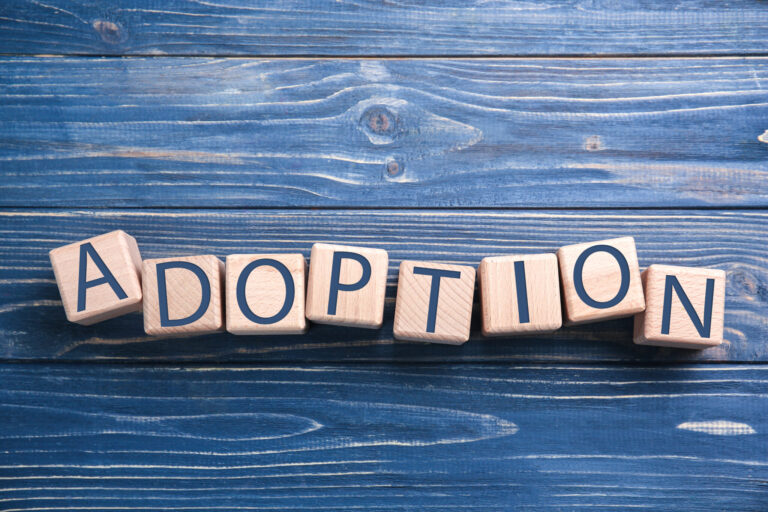 Navigating the Intricacies of Parenting Through Adoption: Part Two